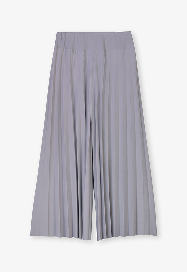 Choice Wide Leg Pleated Trousers Grey