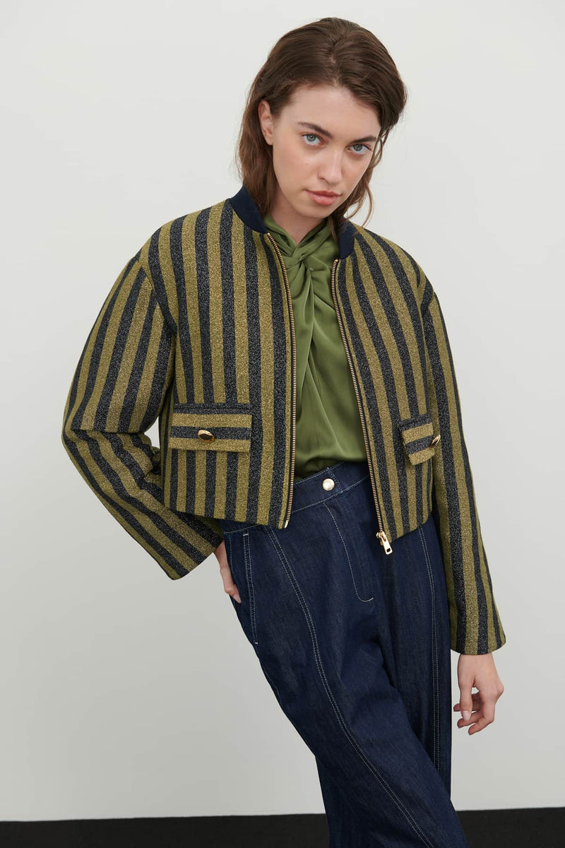 Roman Lurex Striped Crop Jacket Multi Color